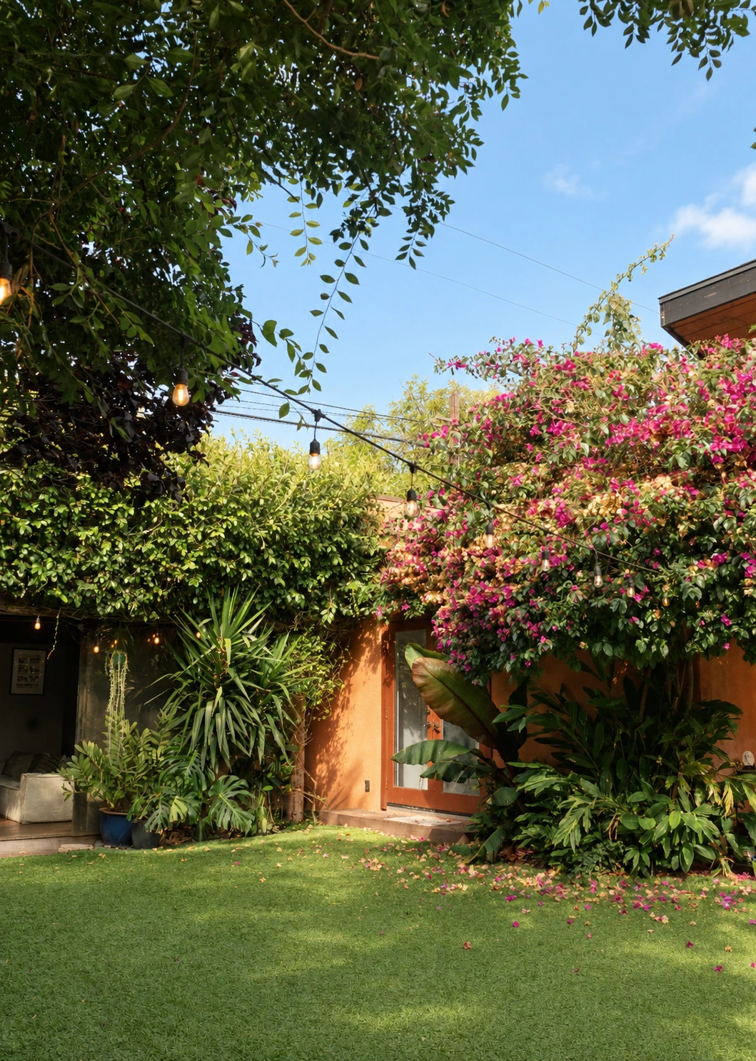 Courtyard doorway beneath bougainvillea, mature trees, and string lights